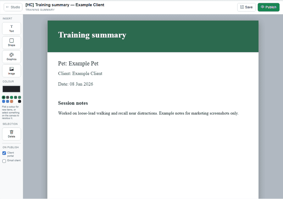 Design Studio web editor with canvas, tools, and graphics — sanitized example
